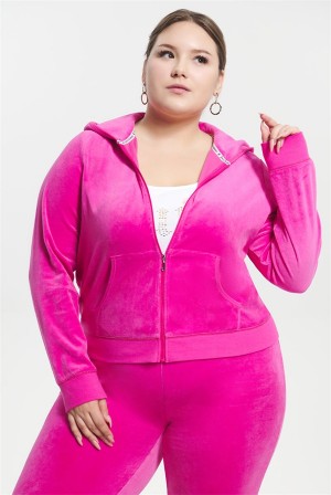 Juicy Couture Plus-size Classiche Coton Velour Hoodie Rose | JC-SN651524