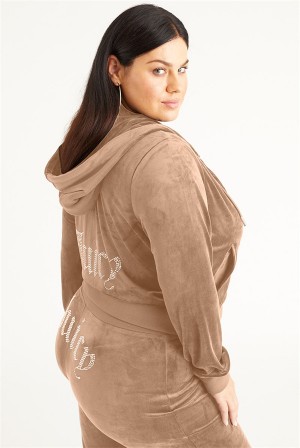 Juicy Couture Plus-size Og Big Bling Velour Hoodie Bleu Grise | JC-SN651529